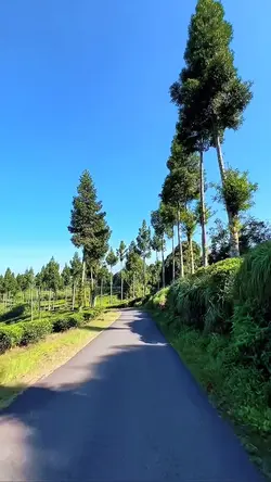 roadtrip 