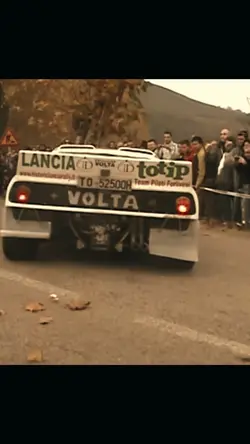 Rally cars