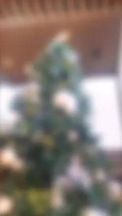 𝒆𝒅𝒊𝒕 𝒅𝒆 