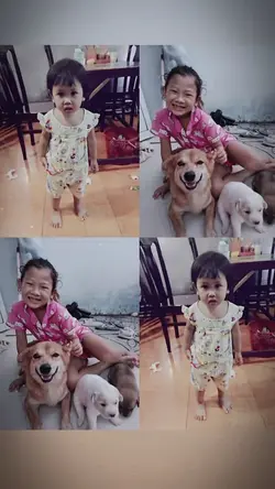 Gián đáng yêu không