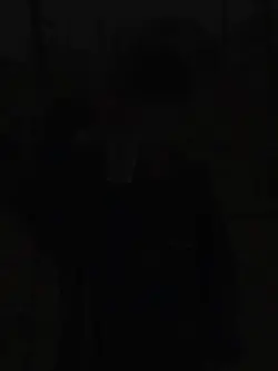 Chris brown body slo