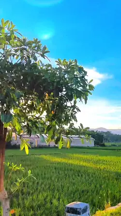 PART 2 FILTER
