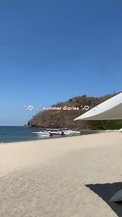 summer diaries