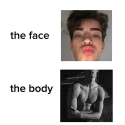 thefacexthebody