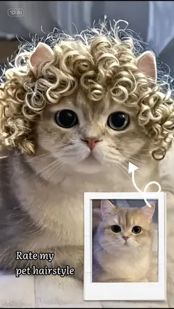 AI HAIRSTYLE