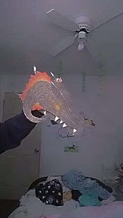 dragon duet