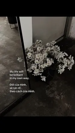 doi cua minh