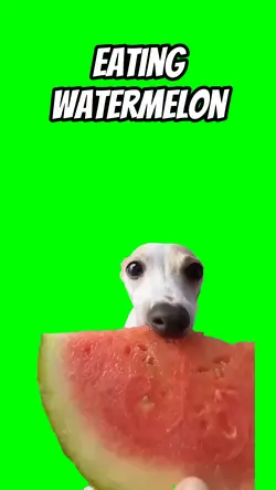 Eating watermelo