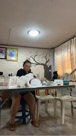 😻💅🏻