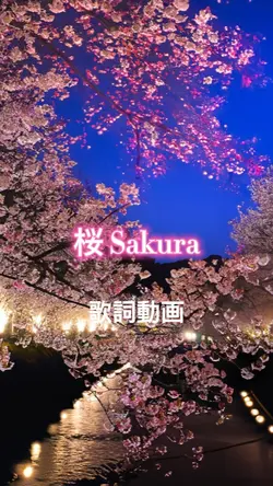 桜 Sakura