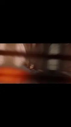 Arthur Morgan