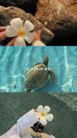 Summer