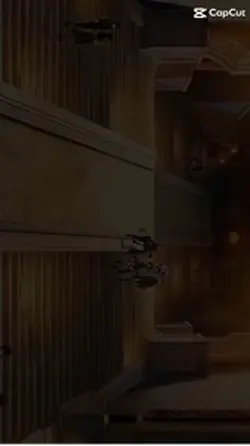 Genshin impact