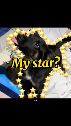 My star?