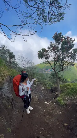 Mountain 🌻