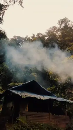 suasana hutan