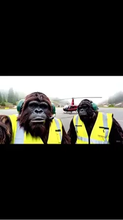 BIG FOOT VLOGS
