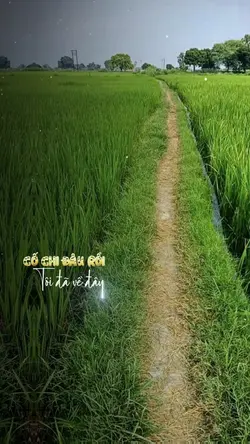 Sao đổi ngôi