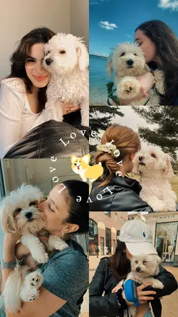 My dog
