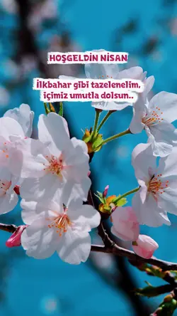 nisan şablonu