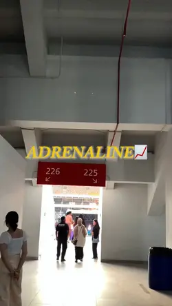 Adrenaline📈