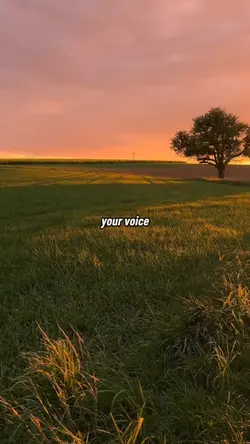 Fading echoes