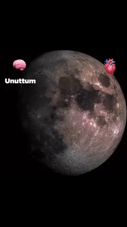 yeni akım 