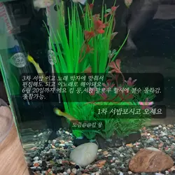 3차서밥