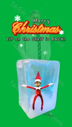 HI ELF ON THE SHELF