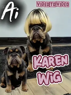 Karen Wig Filter
