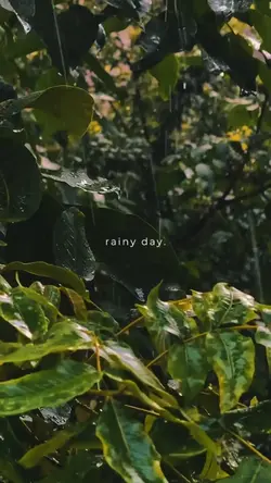 rainy day