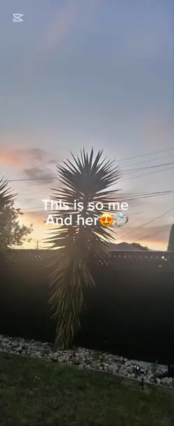 Have u seen my..