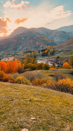 Sonbaharın şarkısı