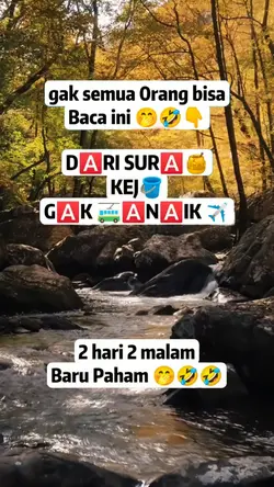 VIRAL FB PRO
