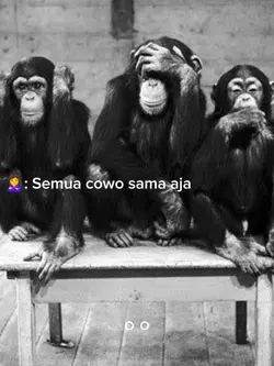Semua cowo sama aja