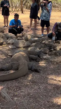 Komodoisland