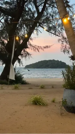 Bamboo Island 