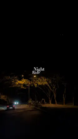 Night Ride 🛵