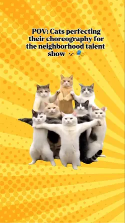 Cats dancing
