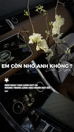 EM CÒN NHỚ ANH KHÔNG