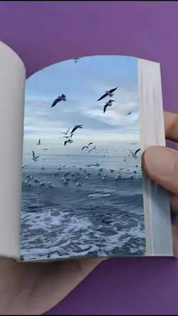 Book