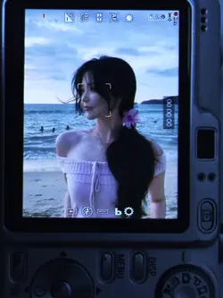 Cam