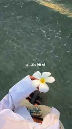 a little bit of sun