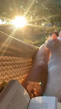 vlog aesthetic