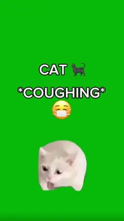 Cat Coughing 
