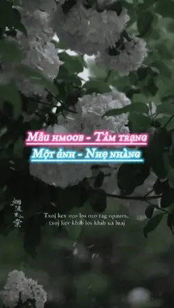 Thaum no mob mob kuv