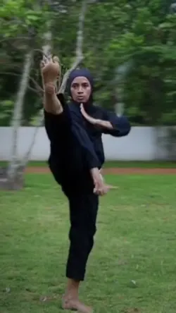 Silat estetik