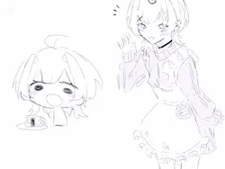 ⟡ はくちゅーむ