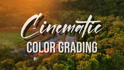 COLOR GRADING TEMP