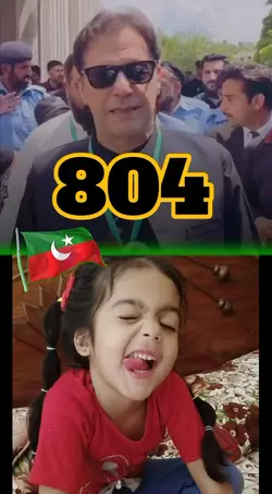 Qaidi No 804